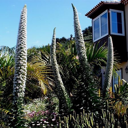 Apartamento Mar Y Teide El El Sauzal Rom bilde